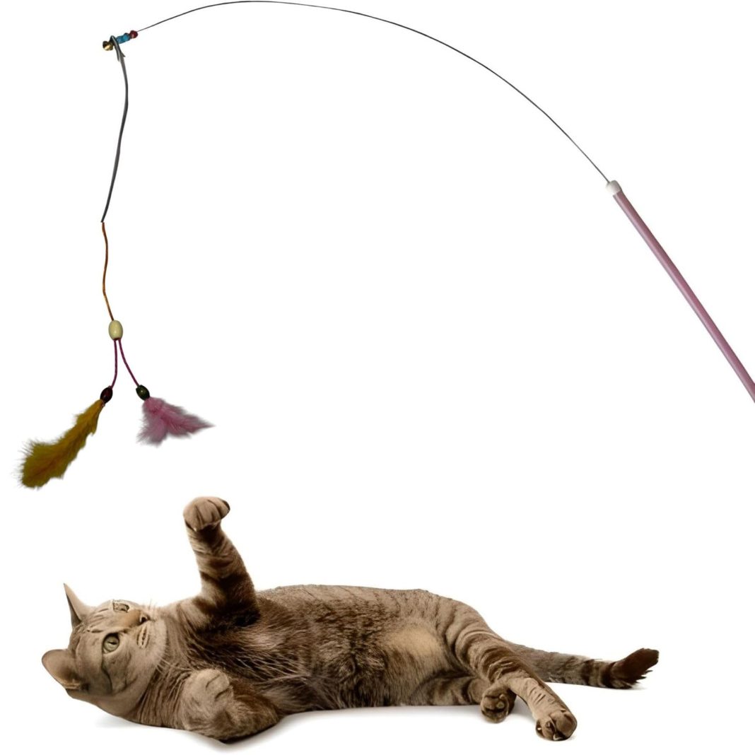 AEE® Kedi Oltası Elastik Çift Tüylü Çanlı Boncuklu Kedi Oyuncağı 130cm Karışık Model – MaviKutu