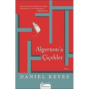 Algernon'a Çiçekler – MaviKutu